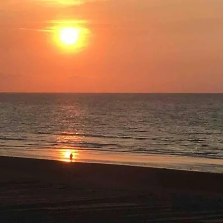 In Near The Sea, Cleaning Included Appartamento Koksijde