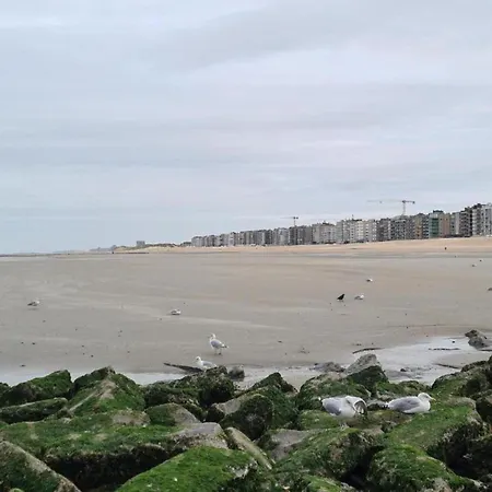 Apartmán In Near The Sea, Cleaning Included