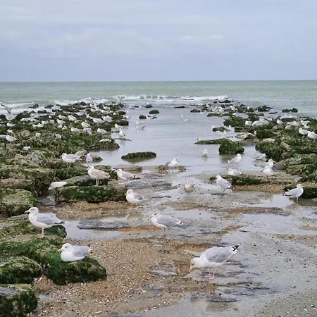 Appartamento In Near The Sea, Cleaning Included *