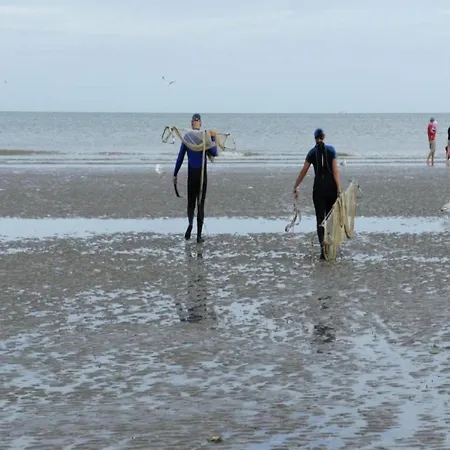 In Near The Sea, Cleaning Included Appartamento *